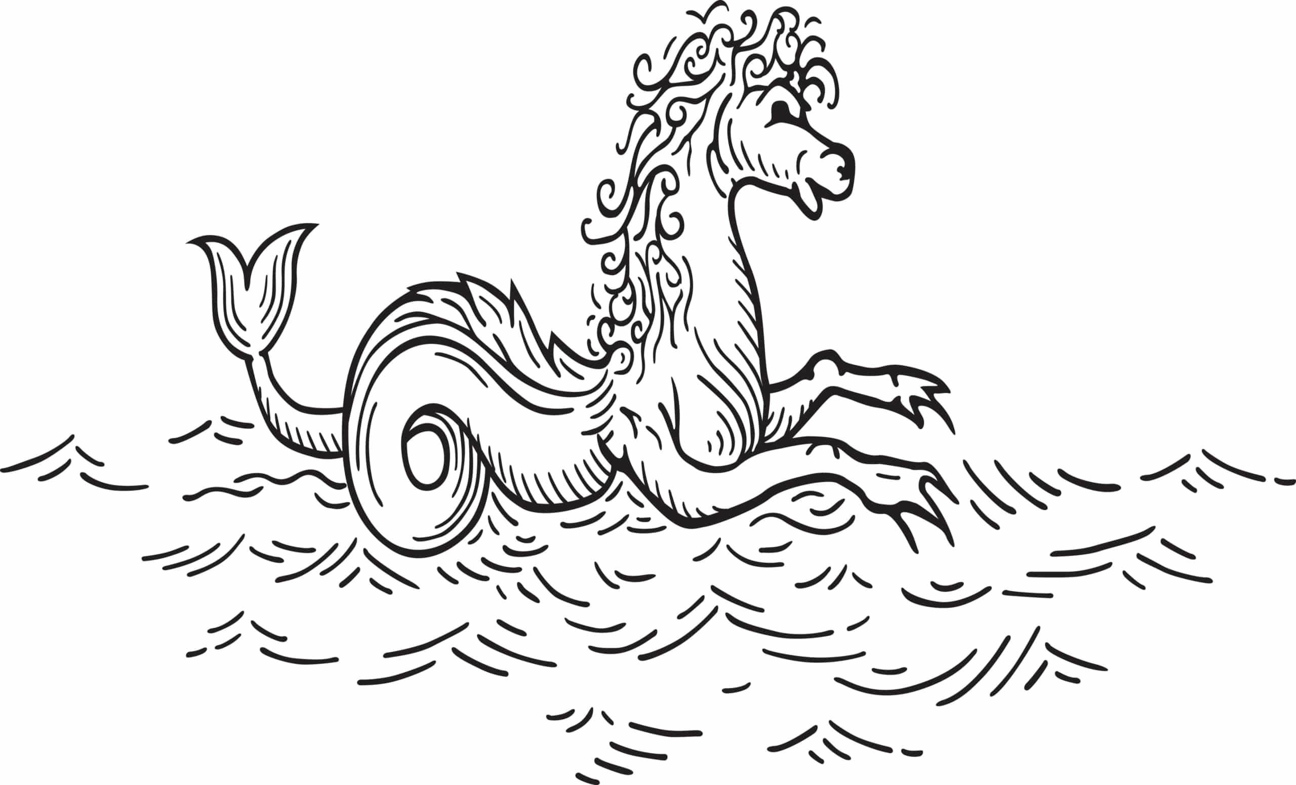 A Scottish Monster called the Kelpie. Half horse half fish