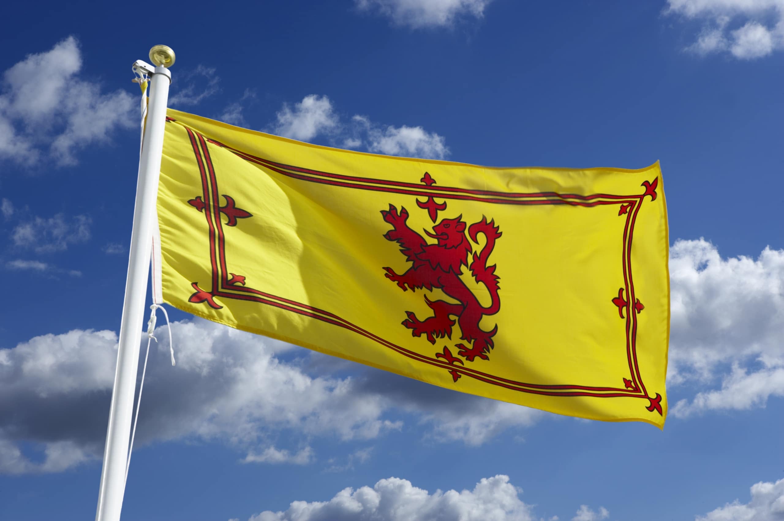 The Scottish Lion Rampant Flag The Scottish Lion Rampant Flag