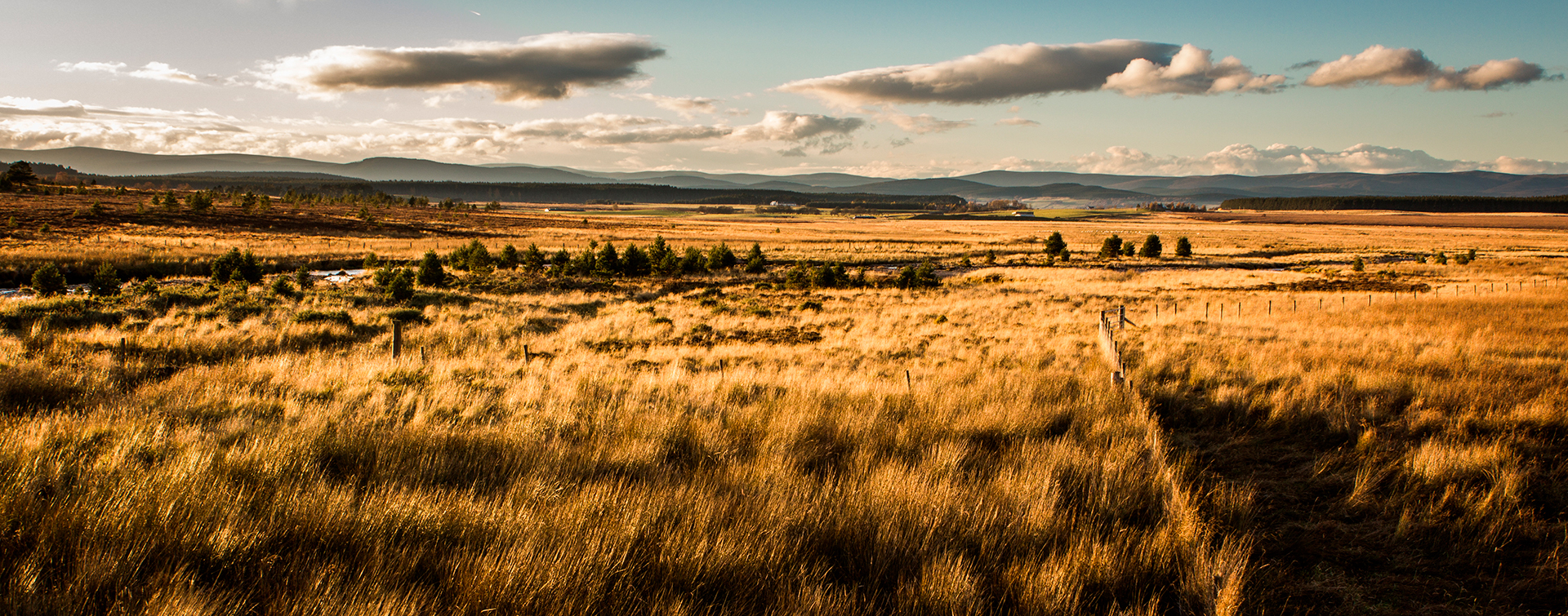 Sunset on scottish landscape, Aviemore, Scotland, United Kingdom