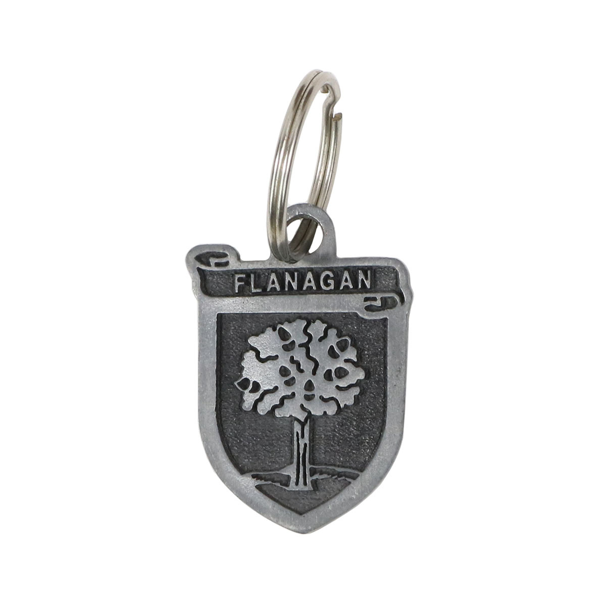 Coat of Arms Keychain