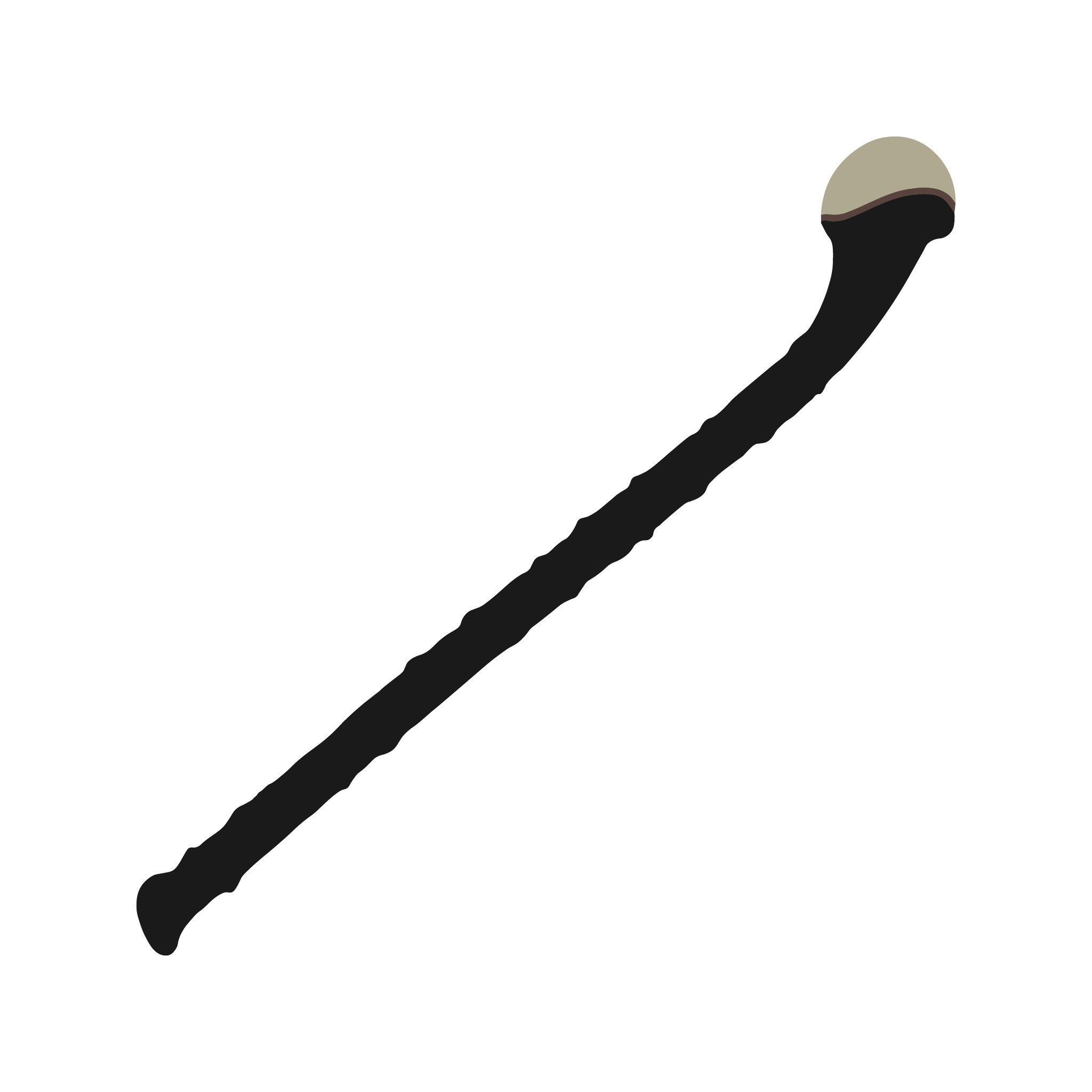 An Irish Shillelagh drawing