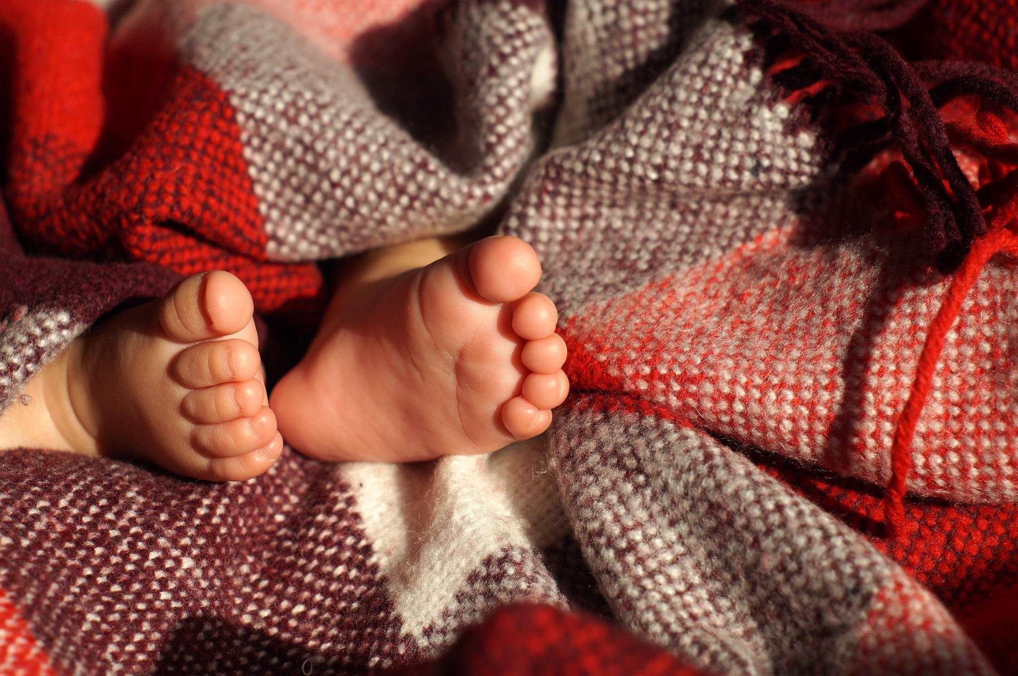 A baby wrapped in a red tartan blanket