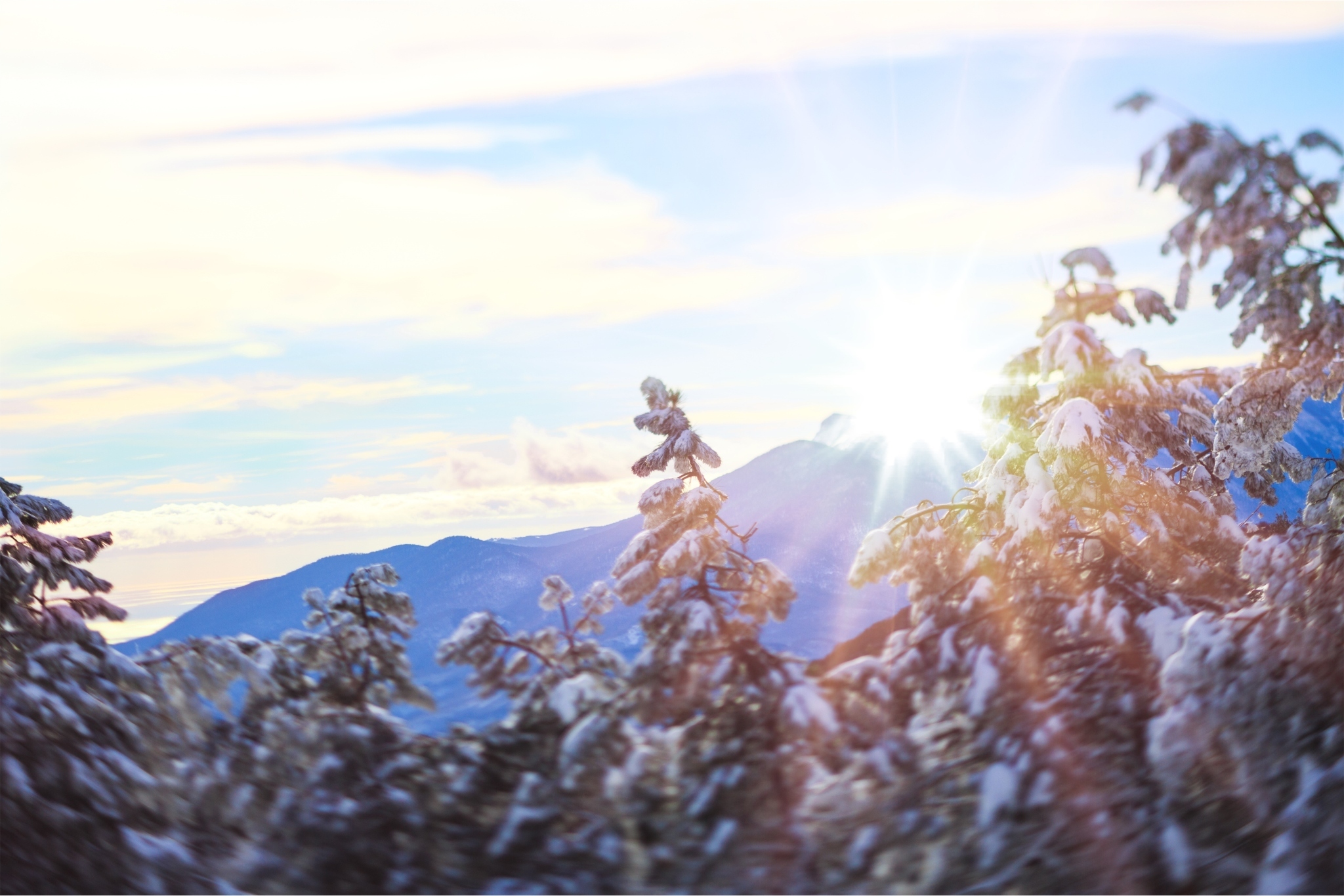 A snowy scene depicting winter solstice. Winter solstice is an ancient celtic holiday