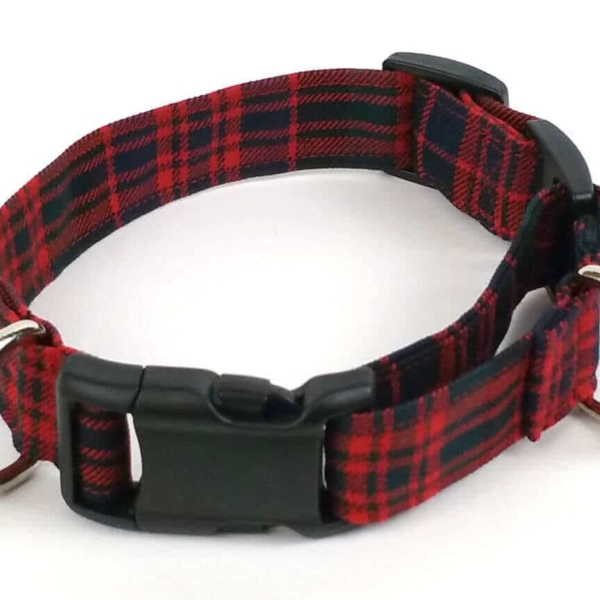 Homespun 1-Inch Tartan Dog Collar and Leash Set