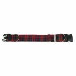 A Homespun 1-Inch Tartan dog collar with metal buckles.