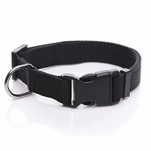 A sleek black dog collar secured by a sturdy metal buckle is called "Dog Collar.