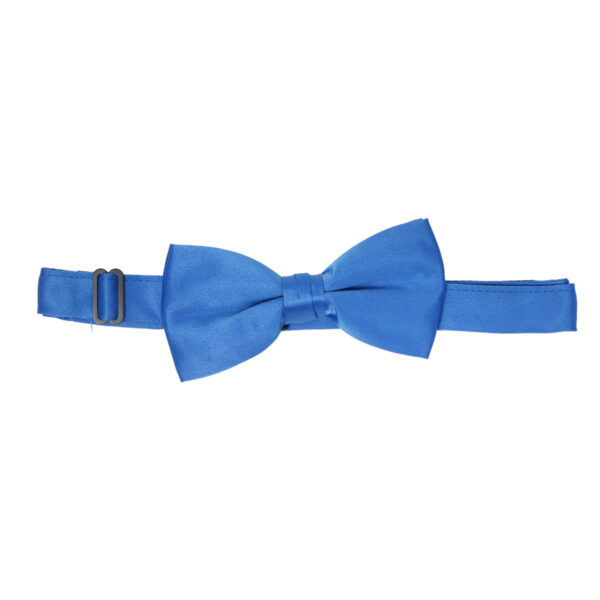 Blue Satin Bow Ties on a white background.