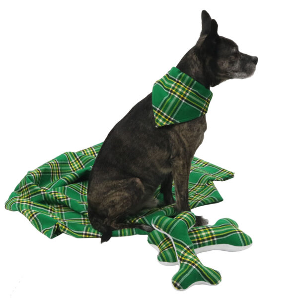 A dog is sitting on a Tartan Bandana Dog Collar - Wool Free.