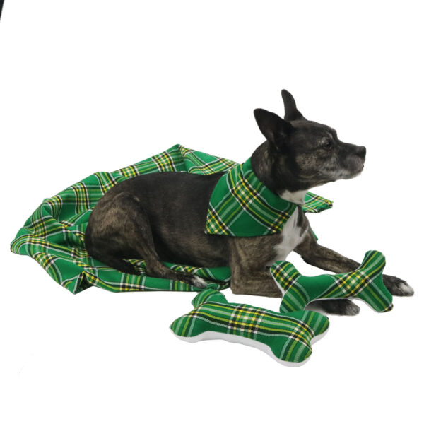A dog laying on a Tartan Bandana Dog Collar - Wool Free with a bone.