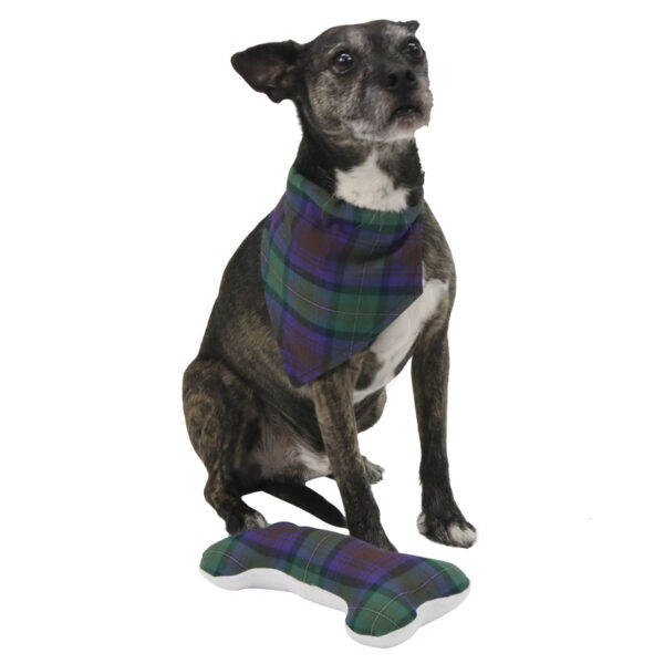 A dog wearing a Tartan Bandana Dog Collar - Wool Free next to a bone.