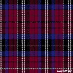 Gwyn / Wynn Welsh Tartan
