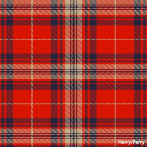 Harry / Parry Welsh Tartan