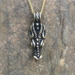 A Dragons Head Pendant with a skull and crossbones, featuring a dragon's head, on a chain.