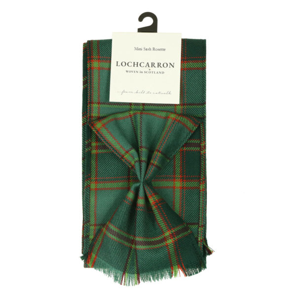 A green plaid scarf with a bow tie.