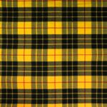 MacLeod Lewis tartan kilt