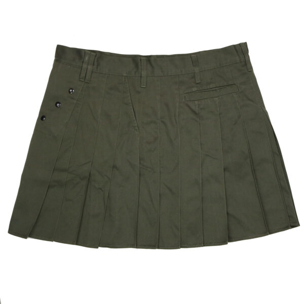 A green pleated skirt on a white background.