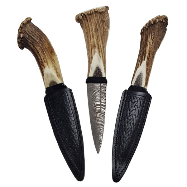 Three Stag Crown Horn Sgian Dubh - Damascus Blade knives on a white background.