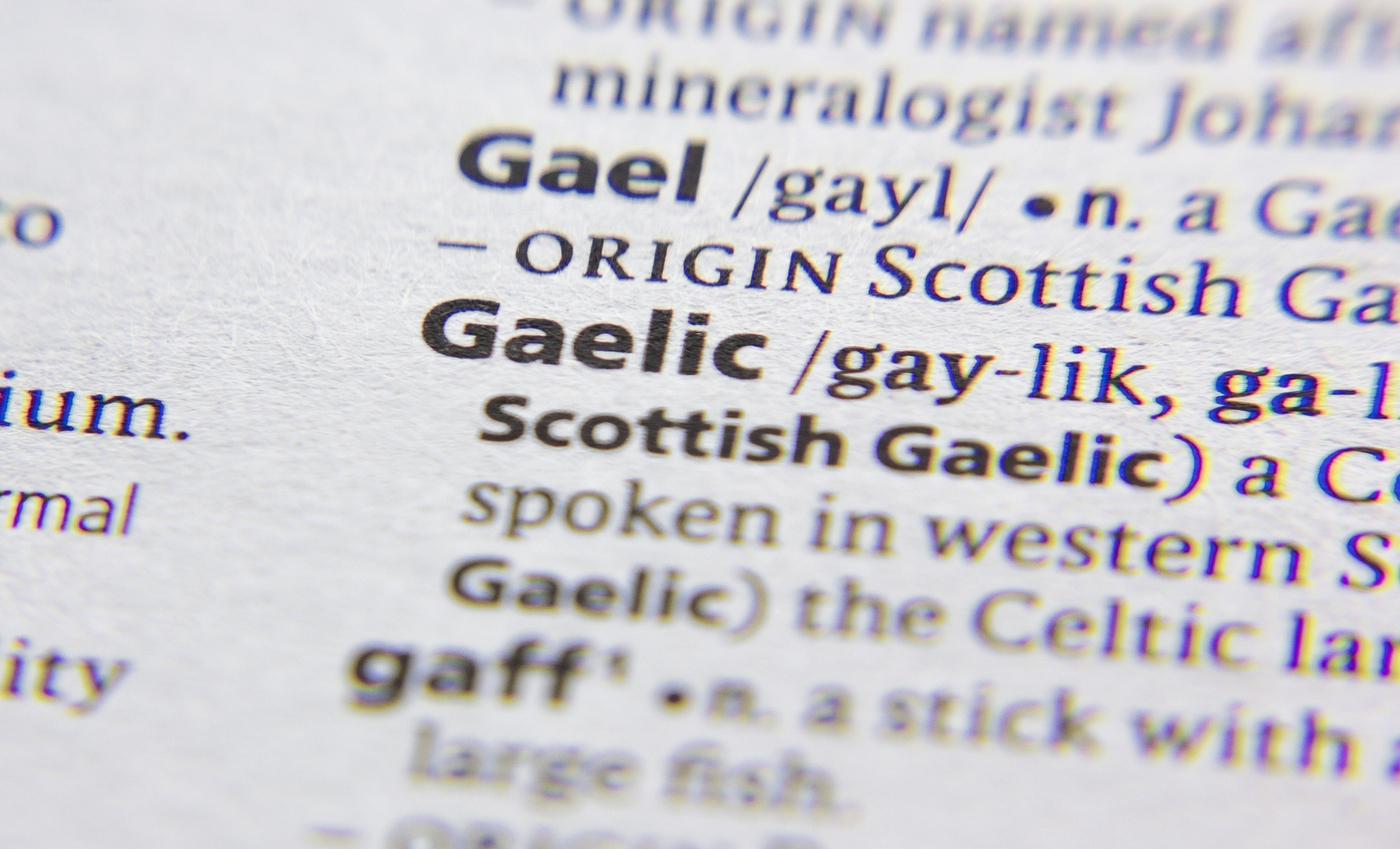 The word "Gaelic" defined in a dictionary