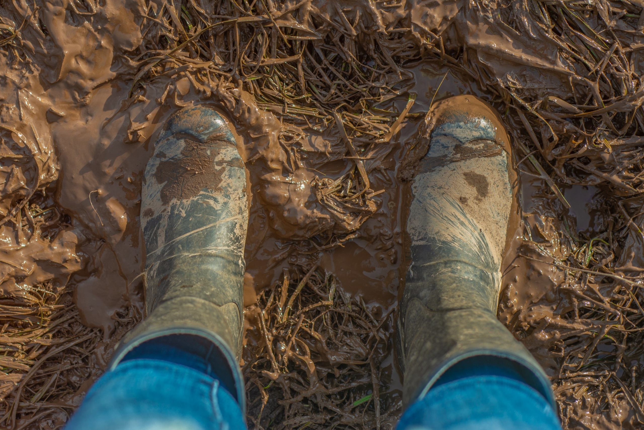 Wellington boots covered in mud