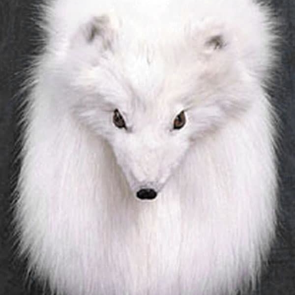 Arctic Fox Sporran